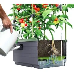 Kweekbak City Jungle Basic Met Klimframe -Aanbiedingen Fruit Zaden Boetiek Winkel 1677572003 2 600