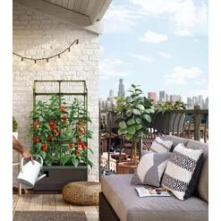 Kweekbak City Jungle Basic Met Klimframe -Aanbiedingen Fruit Zaden Boetiek Winkel 1677572004 4 600