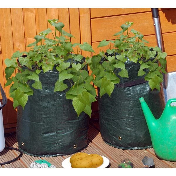 Aardappel Kweekzak Groen 2 Aardappel Kweekzak Groen - Afbeelding 2