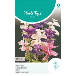 Bladsalvia Tricolor - Salvia Horminum Tricolor