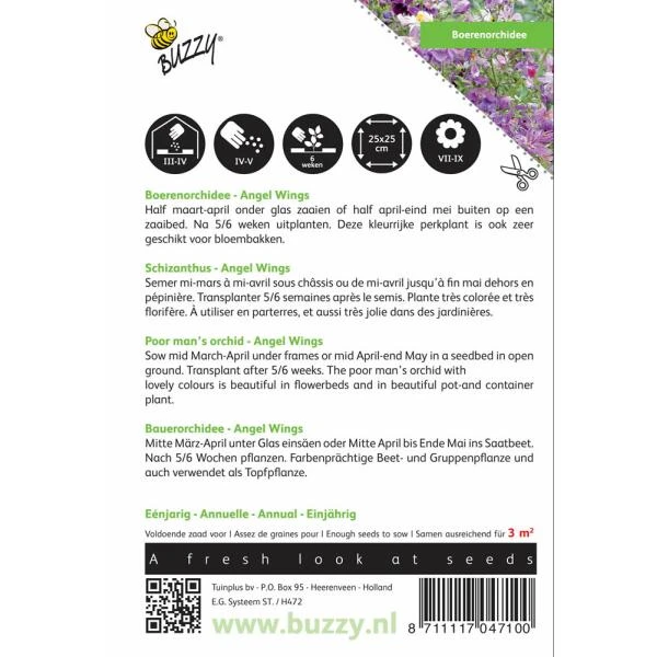 Boerenorchidee Angel Wings - Schizanthus Sinuata Wisetonensis 2 Boerenorchidee Angel Wings - Schizanthus Sinuata Wisetonensis - Afbeelding 2