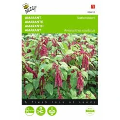 Kattenstaartamarant - Amaranthus Caudatus