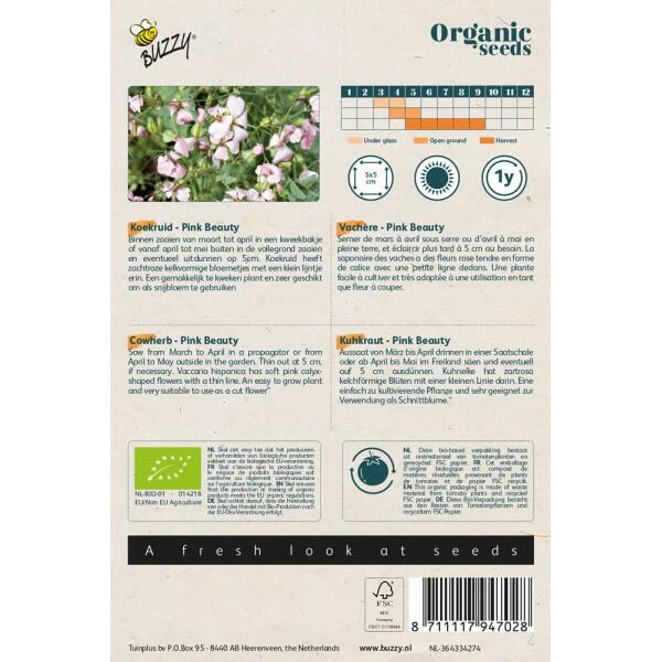 Koekruid Pink Beauty BIO - Saponaria Vaccaria 2 Koekruid Pink Beauty BIO - Saponaria Vaccaria - Afbeelding 2