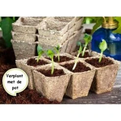 Vezelpotjes Vierkant Biologisch Afbreekbaar - 6 × 6 Cm - Set Van 24 Stuks -Aanbiedingen Fruit Zaden Boetiek Winkel kokos potjes vierkant 6 cm 1519297688 1 600