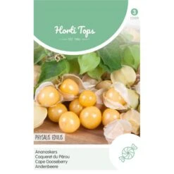 Aanbiedingen Fruit Zaden Boetiek Winkel 3 Physalis Peruviana - Ananaskers
