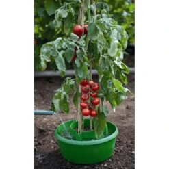 Plant- En Gietpot Groen - Set Van 3 Stuks -Aanbiedingen Fruit Zaden Boetiek Winkel plant en gietpot 1484054799 4 600