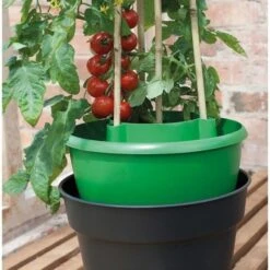 Plant- En Gietpot Groen - Set Van 3 Stuks -Aanbiedingen Fruit Zaden Boetiek Winkel plant en gietpot 1490372418 1 600