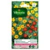 Tagetes Miniature Gemengd - Tagetes Patula